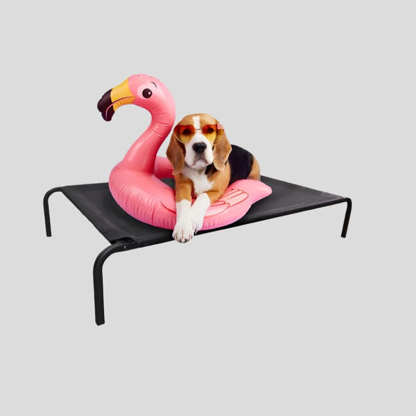 Cama elevada para mascotas | Aislante | 122 x 71 x 21 cm | Máx. 60 kg | Ligera | Resistente | Negra | Cleo | Mobiclinic